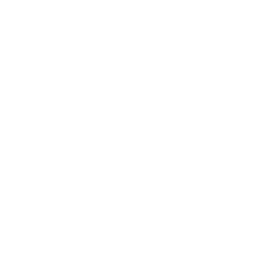 THE OLFACTORY 